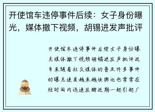 开使馆车违停事件后续：女子身份曝光，媒体撤下视频，胡锡进发声批评